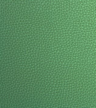 Light Green Fake Leather Pattern
