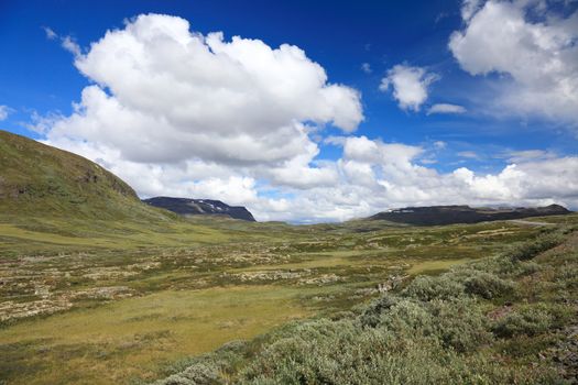 Panoramic photo of norwegian summer landscape, Scandinavian Europe.