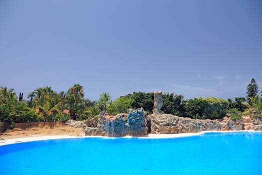 Beautiful design with pool and palms, Tenerife Island, Canary.