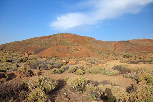 Volcanic landscape of El Teide Volcano, Tenerife Island, Canary.