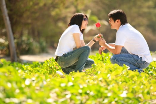 attractive young boy giving beautiful rose to his pretty girlfriend