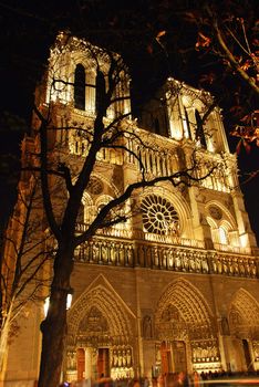 Cathedral of Notre Dame de Paris at night