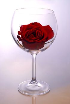 Red rose blossom inside of a red wine glass