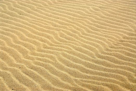 Abstract sand background