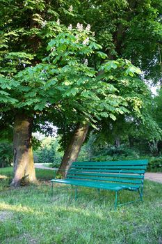 Seat in park