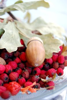 Acorn and haw berry on a plate