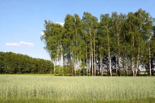 spring in Poland