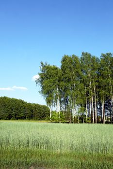 spring in Poland