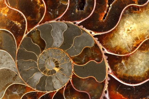 Macro image of rocky mountains gemstone ammolite