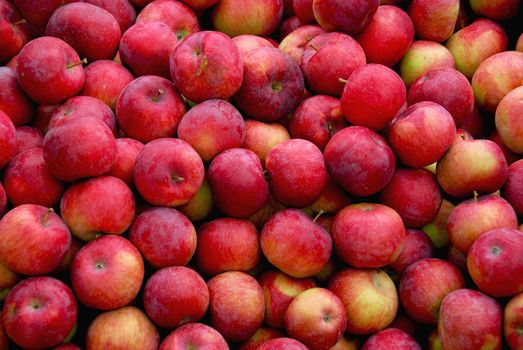 Background of fresh red apples