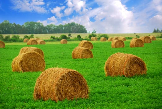 Agricultural landscape of hay bales in a field