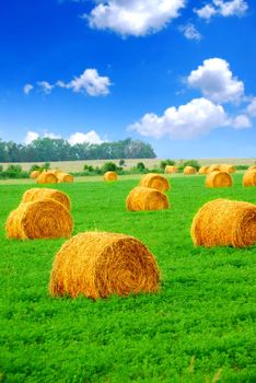 Agricultural landscape of hay bales in a green field