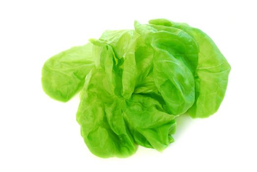Head of green fresh boston lettuce isolated on white background