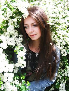 A beautiful brunette girl among white flowers' blossom