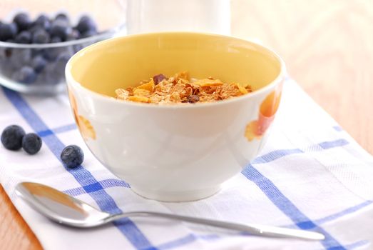 Healthy breaksfast of cereal, milk and blueberries