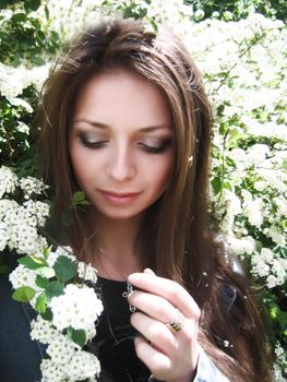 A beautiful brunette girl among white flowers' blossom