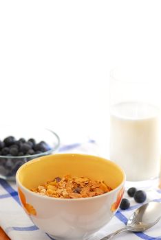 Healthy breakfast of cereal, milk and blueberries served on a table on sunny morning