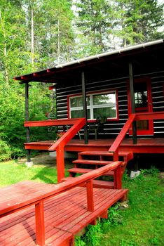 Log cabin in the pine forest