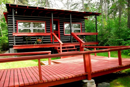 Spaceous log cottage in pine forest