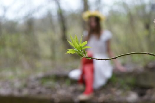 A green-leaf blossoms out on a background the silhouette of young girl