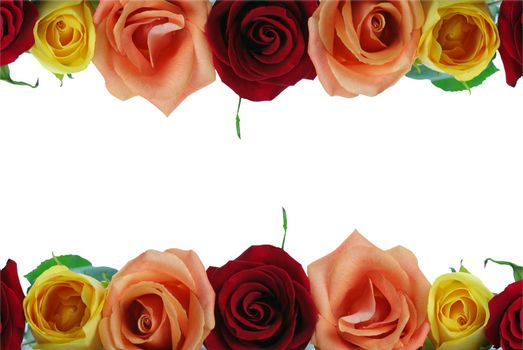 Floral border composed of red, yellow and peach colored roses,