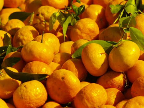 fresh tangerines