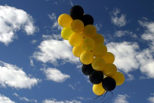 Yellow and black balloons with blue and white sky in the background.