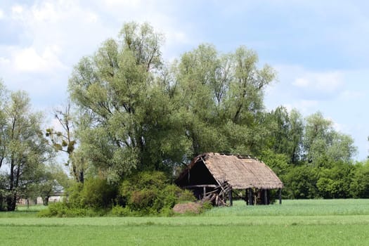 Old house next to trees
