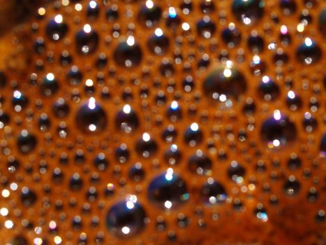 Bubbles and froth on the surface of a fresh brewed pot of pressed coffee.