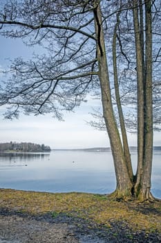 An image of the Starnberg Lake in Bavaria Germany - Tutzing