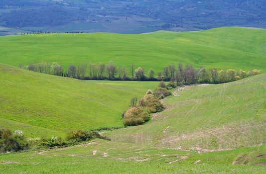 Italy. Val D'Orcia valley. Tuscany landscape