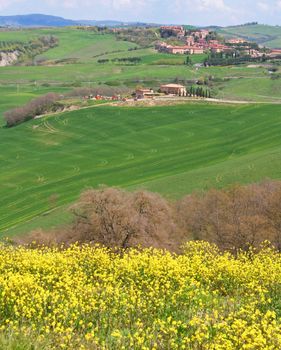 Italy. Val D'Orcia valley. Tuscany landscape