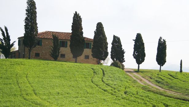 Italy. Tuscany region, Val D'Orcia valley. Tuscany landscape. 