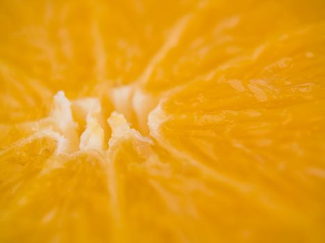 Closeup macro of the inside of an Orange