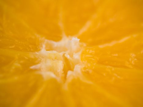 Closeup macro of the inside of an Orange