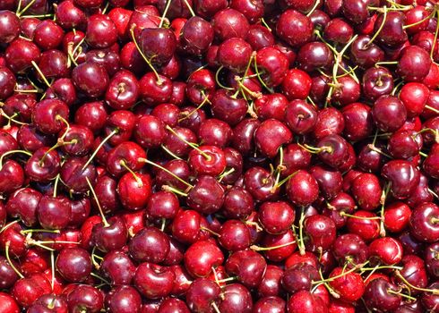 Ripe Red Cherries at a Farmers Market