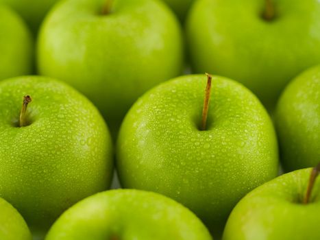 Green apples arranged in rows