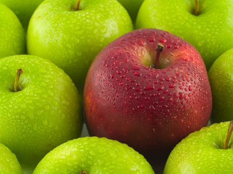 Background of green apples with a single Red Delicious