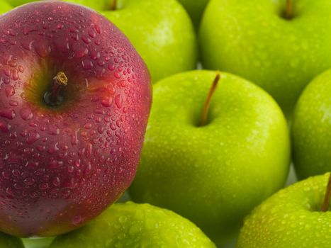 Background of green apples with a single Red Delicious