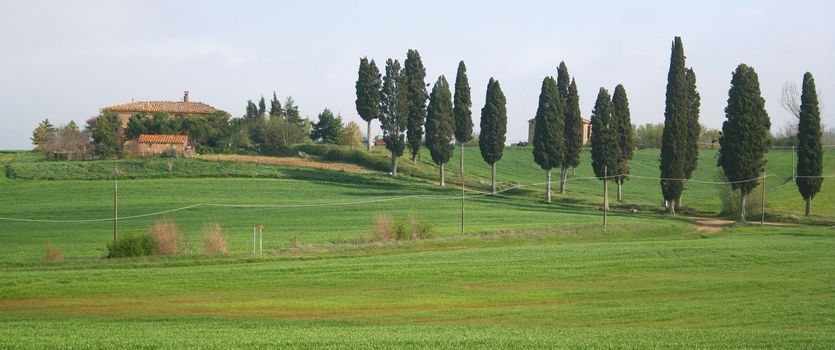 Italy. Tuscany region, Val D'Orcia valley. Tuscany landscape. 