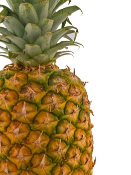 A single pineapple isolated on white, cropped close