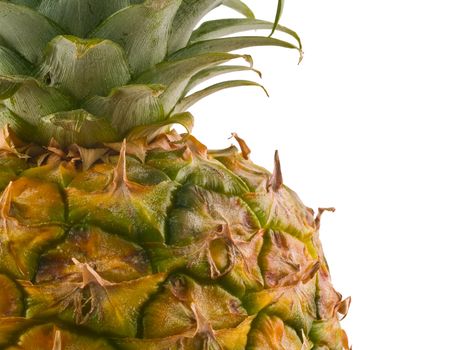 A single pineapple isolated on white, cropped close