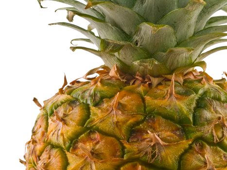 A single pineapple isolated on white, cropped close