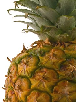 A single pineapple isolated on white, cropped close