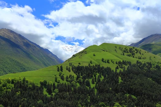 Summer beautiful landscape with Caucasus green mountains