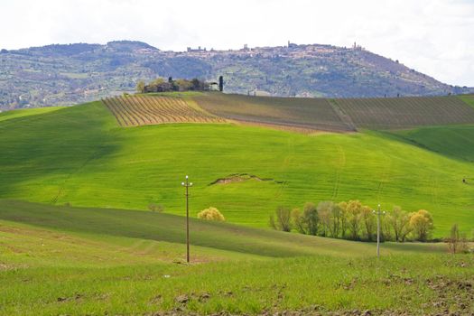 Italy. Val D'Orcia valley. Tuscany landscape