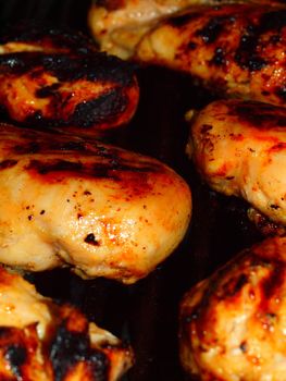 Fresh Grilled Chicken Breasts on the Barbecue