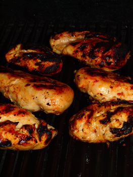 Fresh Grilled Chicken Breasts on the Barbecue