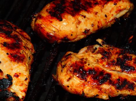 Fresh Grilled Chicken Breasts on the Barbecue