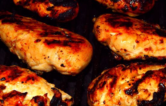 Fresh Grilled Chicken Breasts on the Barbecue